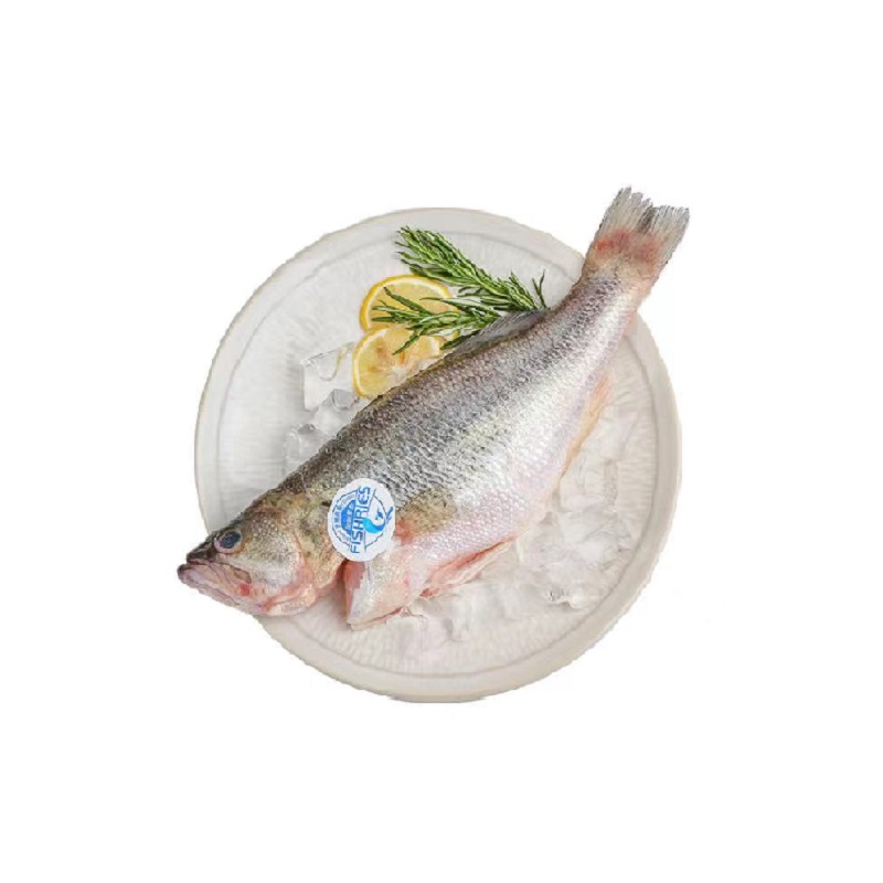 冰鲜鲈鱼